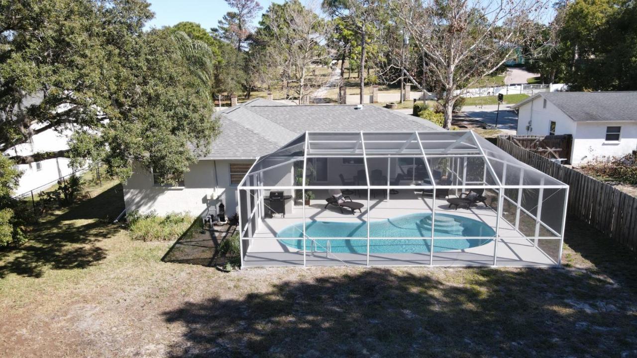 Modern Home, Heated Pool, Close To Beaches! Tarpon Springs Ngoại thất bức ảnh