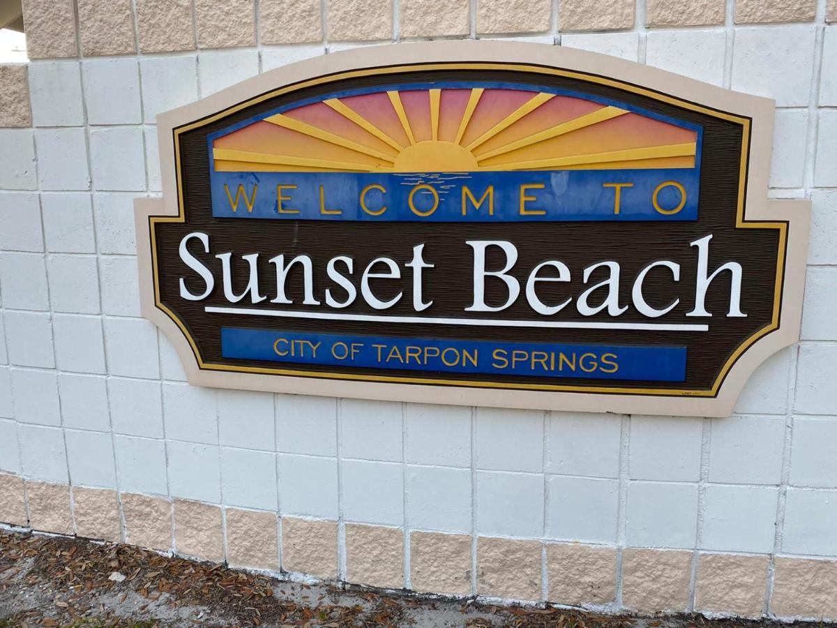 Modern Home, Heated Pool, Close To Beaches! Tarpon Springs Ngoại thất bức ảnh